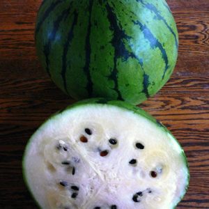 Cream of Saskatchewan Watermelon