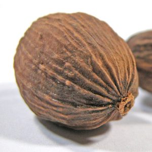 Bickford Nutmeg Oil