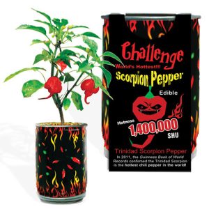 Challenge Scorpion Pepper Magic Plant – 1,400,000 SHU