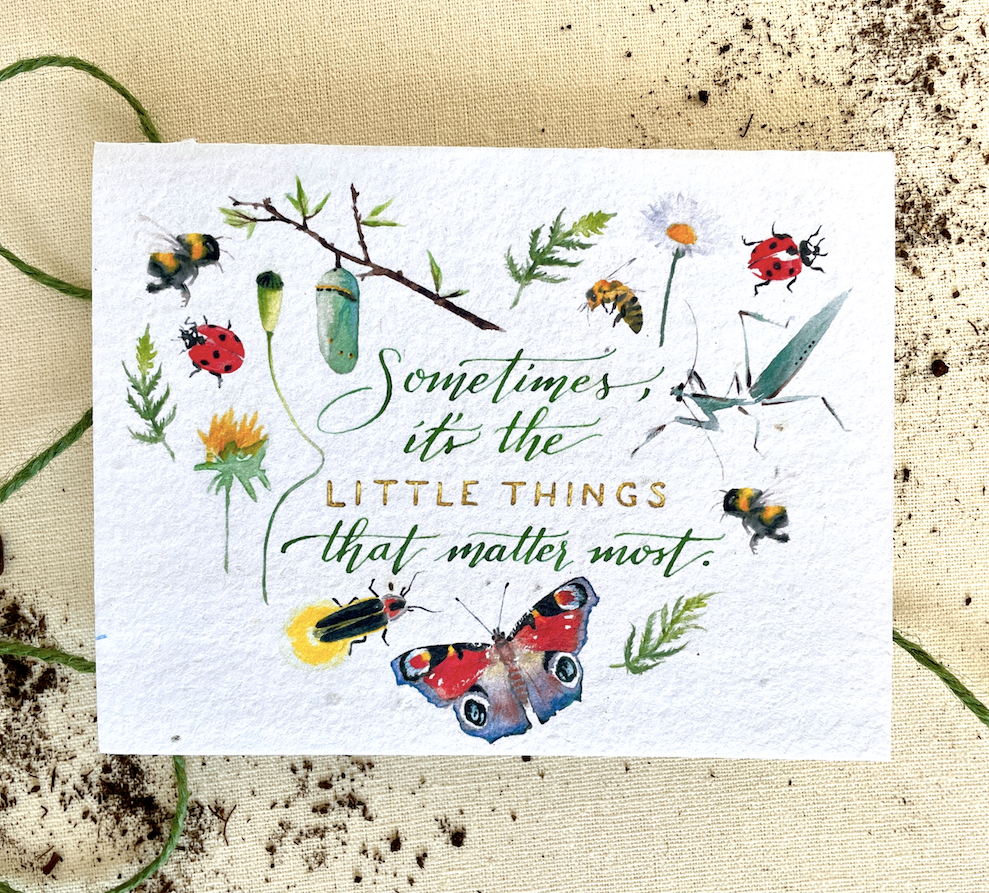 Notes of Eden Seed Cards – The Little Things Plantable Wildflower Seed