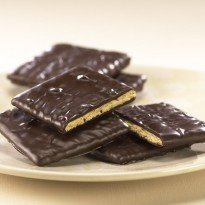 Asher’s Dark Chocolate Covered Graham Crackers