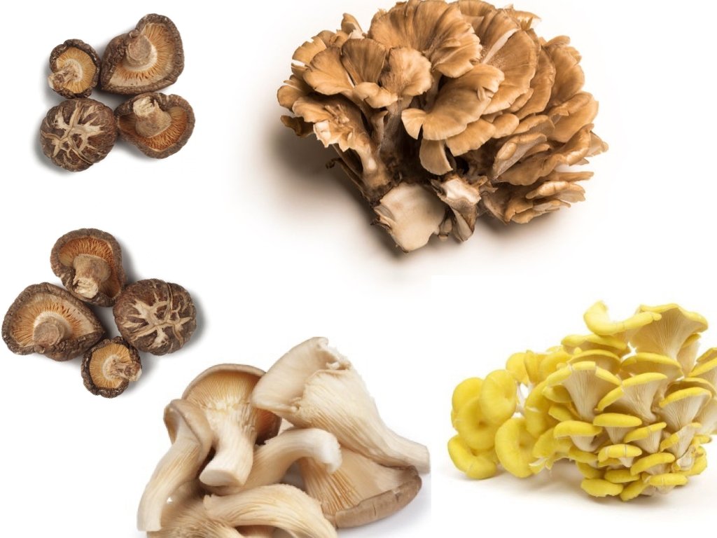 MUSHROOMS
