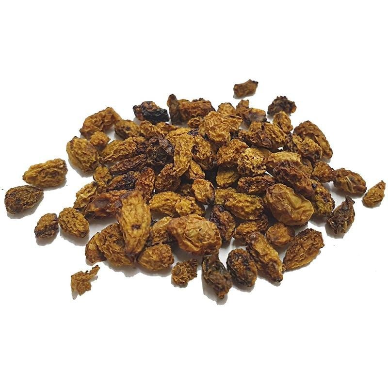 Chiloe Pepper Chilean (Pimienta Chilota)