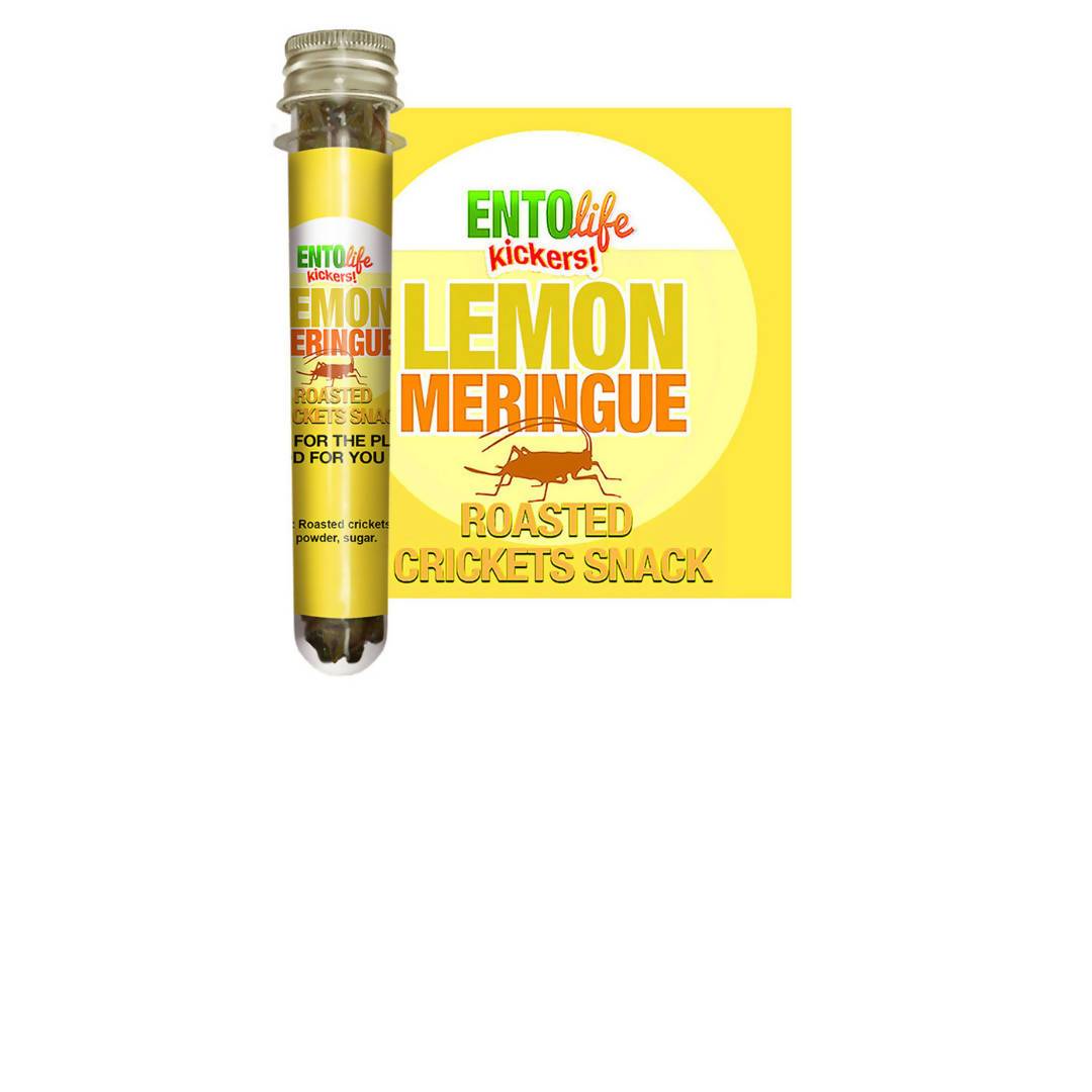 Lemon Meringue Roasted Cricket Snack Tubes – 6 x 10g
