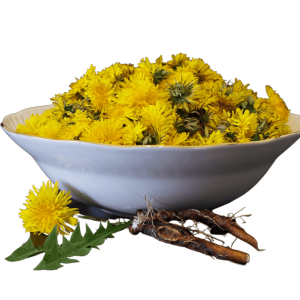 Dandelion Root, Organic, Cut, Sifted
