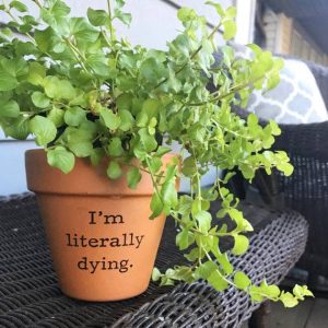 Buffalovely – I’m Literally Dying Terra Cotta Flower Pot