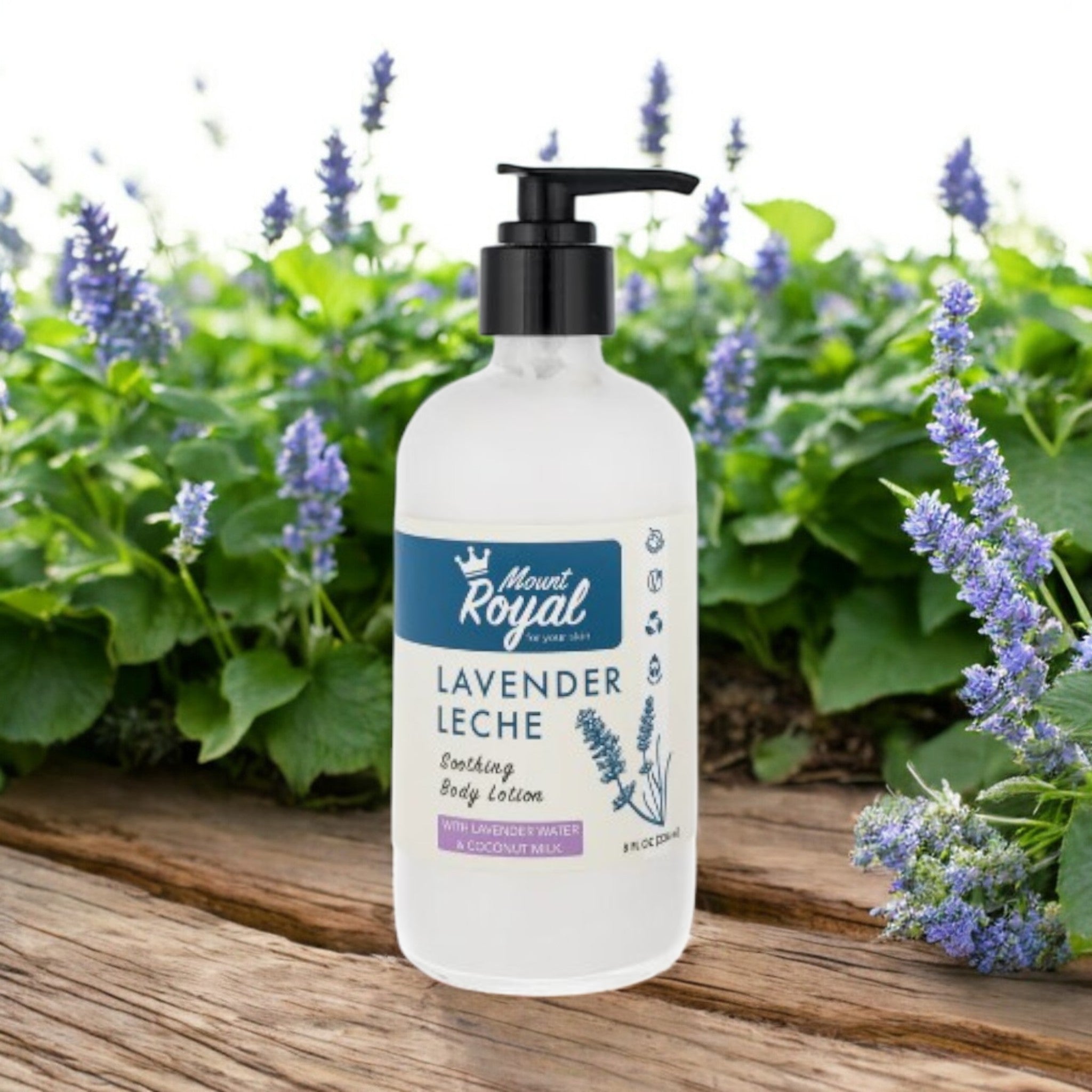 Lavender Leche – Lavender Water & Coconut Milk Body Lotion