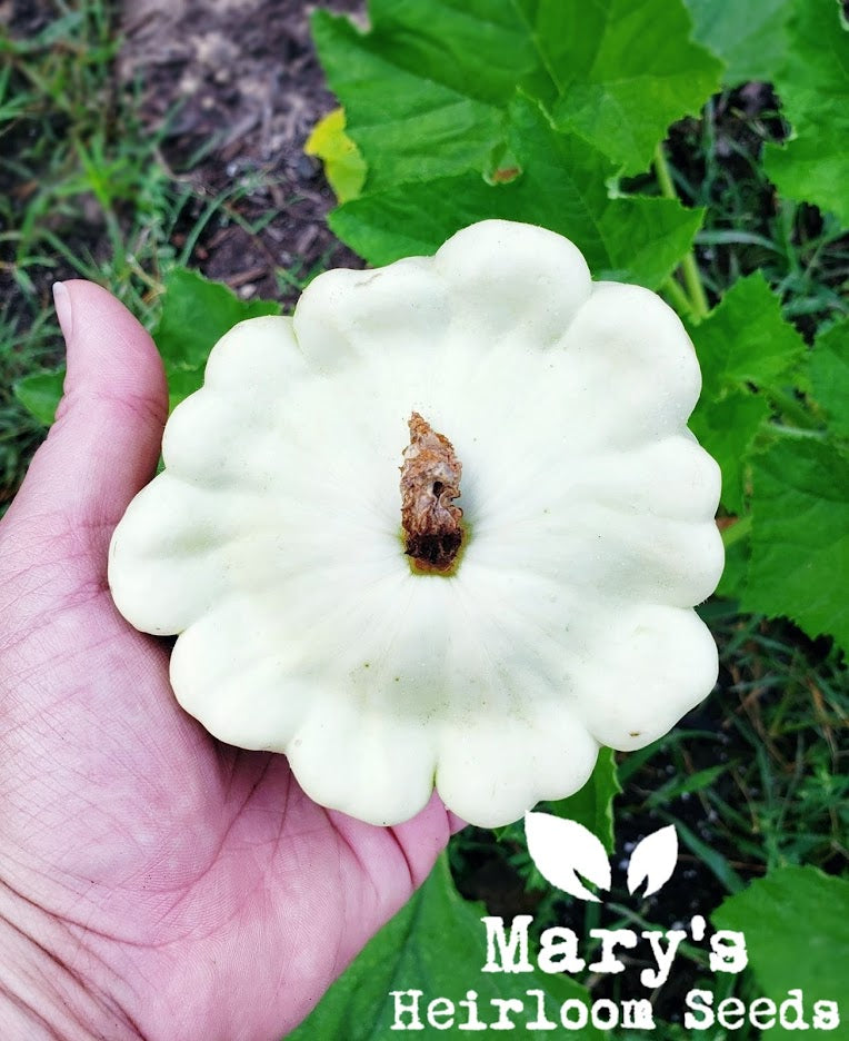 Mary’s “Texas” Seeds combo pack
