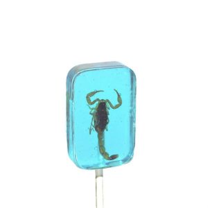 Scorpion Sucker Blueberry