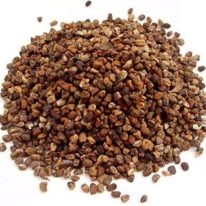 Cardamom Seeds, Decorticated