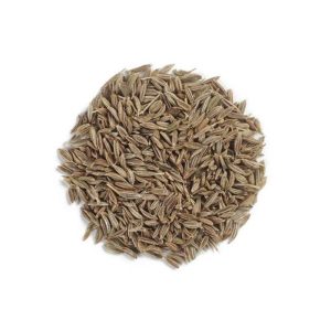Cumin Seed Indian