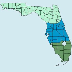 FLORIDA Garden Seeds Combo pack