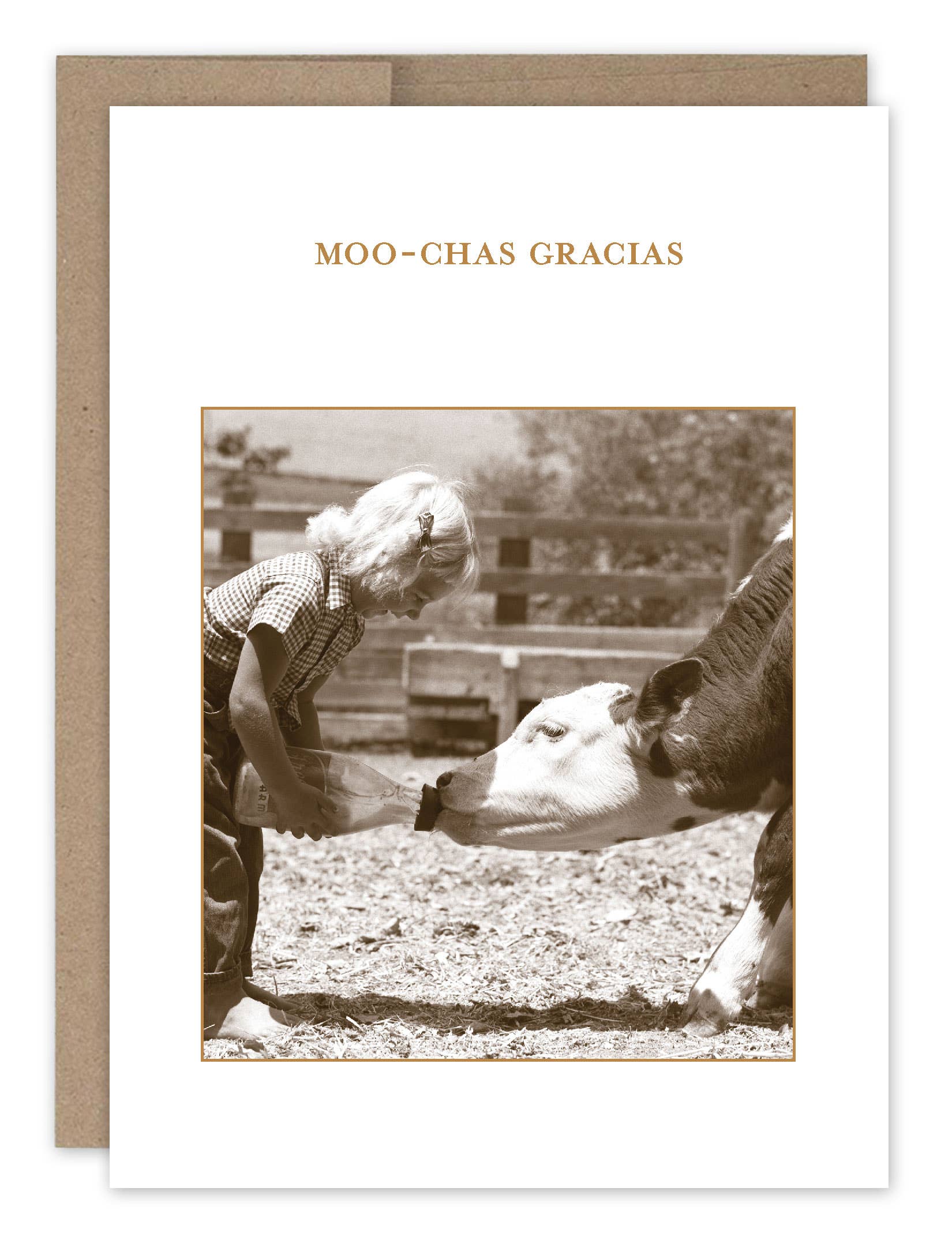 Shannon Martin Design – Moo Chas Gracias Card