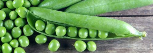 Green Arrow Pea BULK