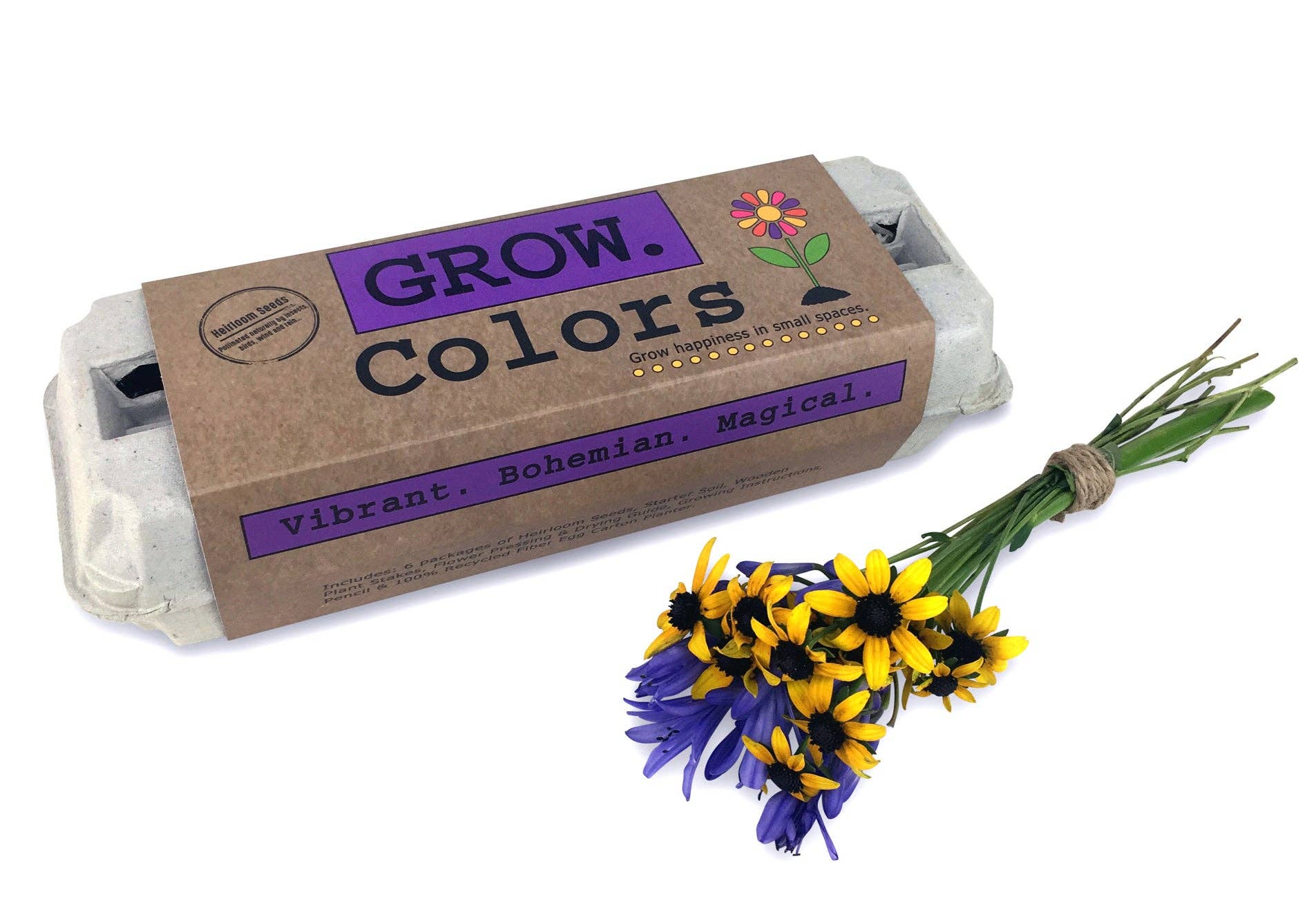 Backyard Safari Company – Colors Flower Garden Grow Kit