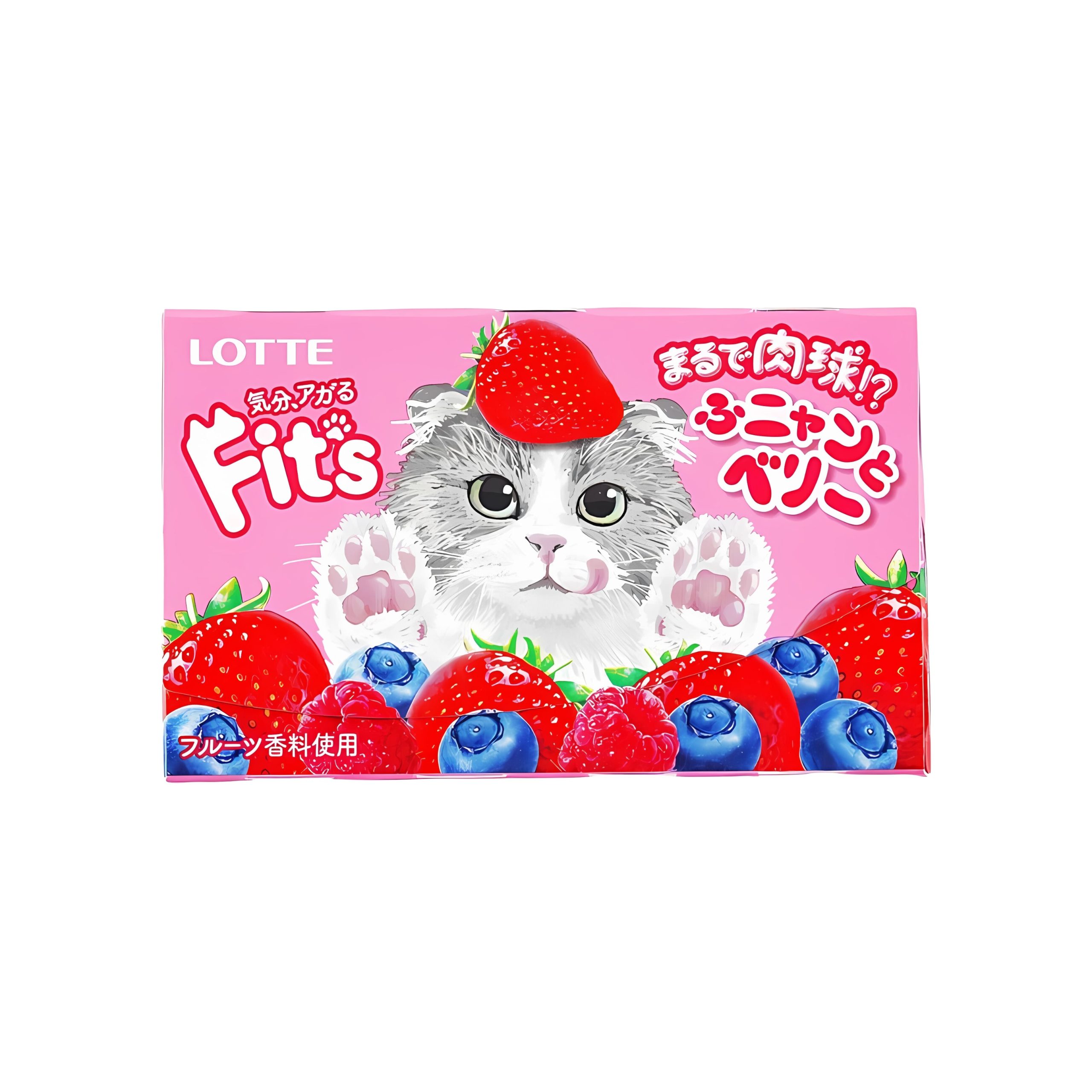 Fit’s Funyanto Berry Gum (Japan)