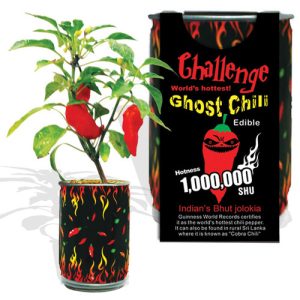 Challenge Ghost Chili Magic Plant – 1,000,000 SHU