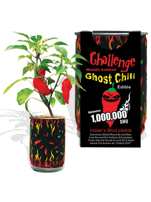 Challenge Ghost Chili Magic Plant – 1,000,000 SHU