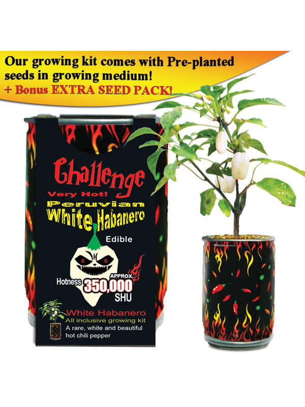 Challenge Peruvian White Habanero Pepper Plant