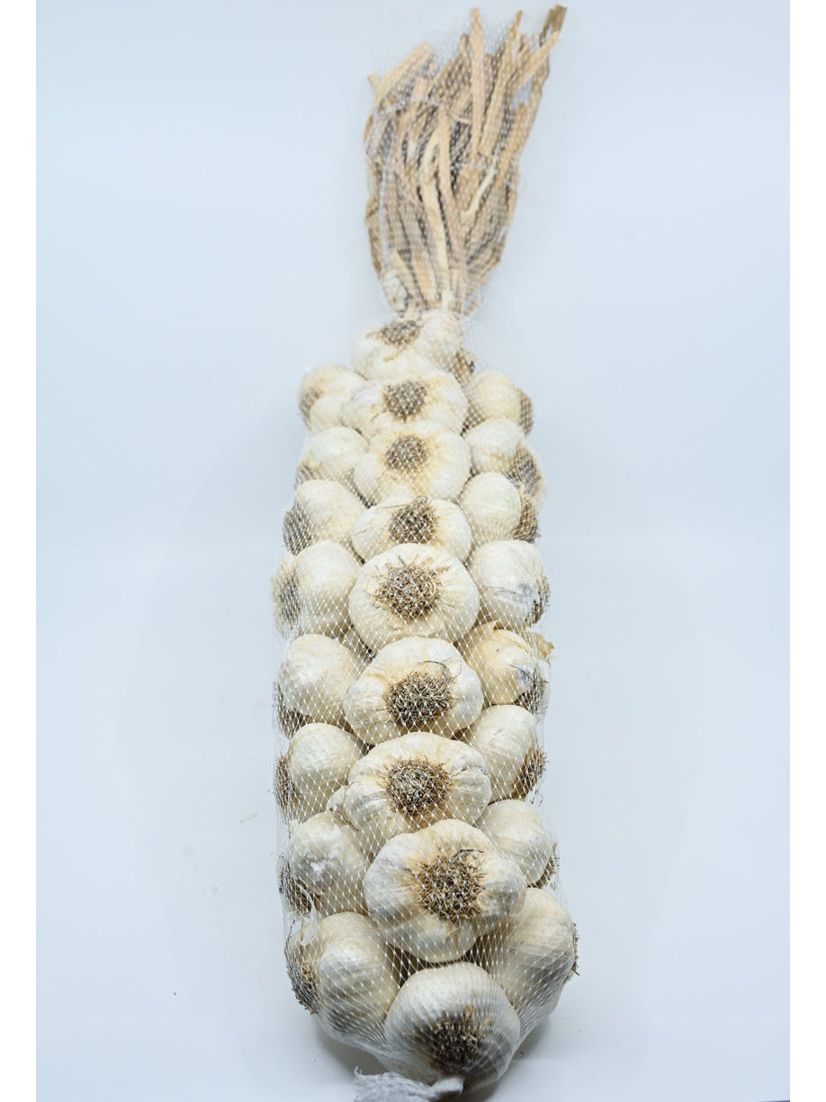 2 foot Gilroy Garlic Braid BEST DEAL! 4.5 to 5 pounds