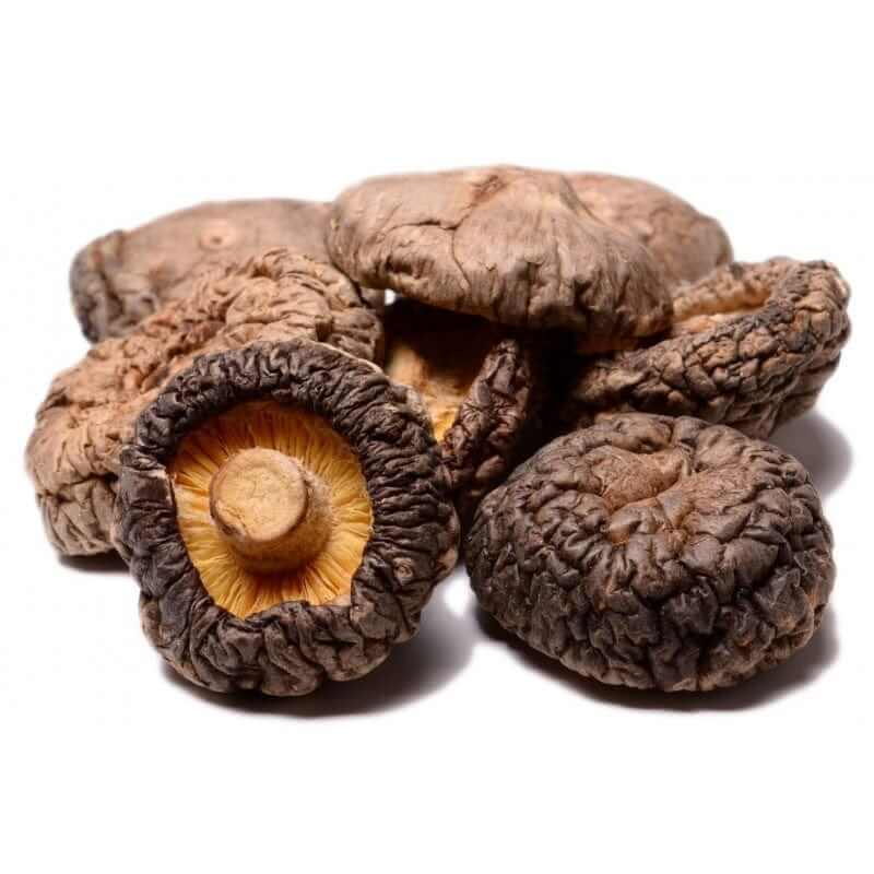 Buy Organic Mushrooms Dried – High Protein & Fiber