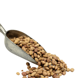 Bolita Beans