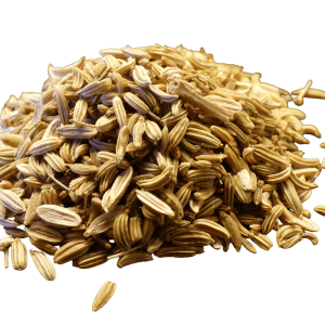 Fennel Seed, Whole