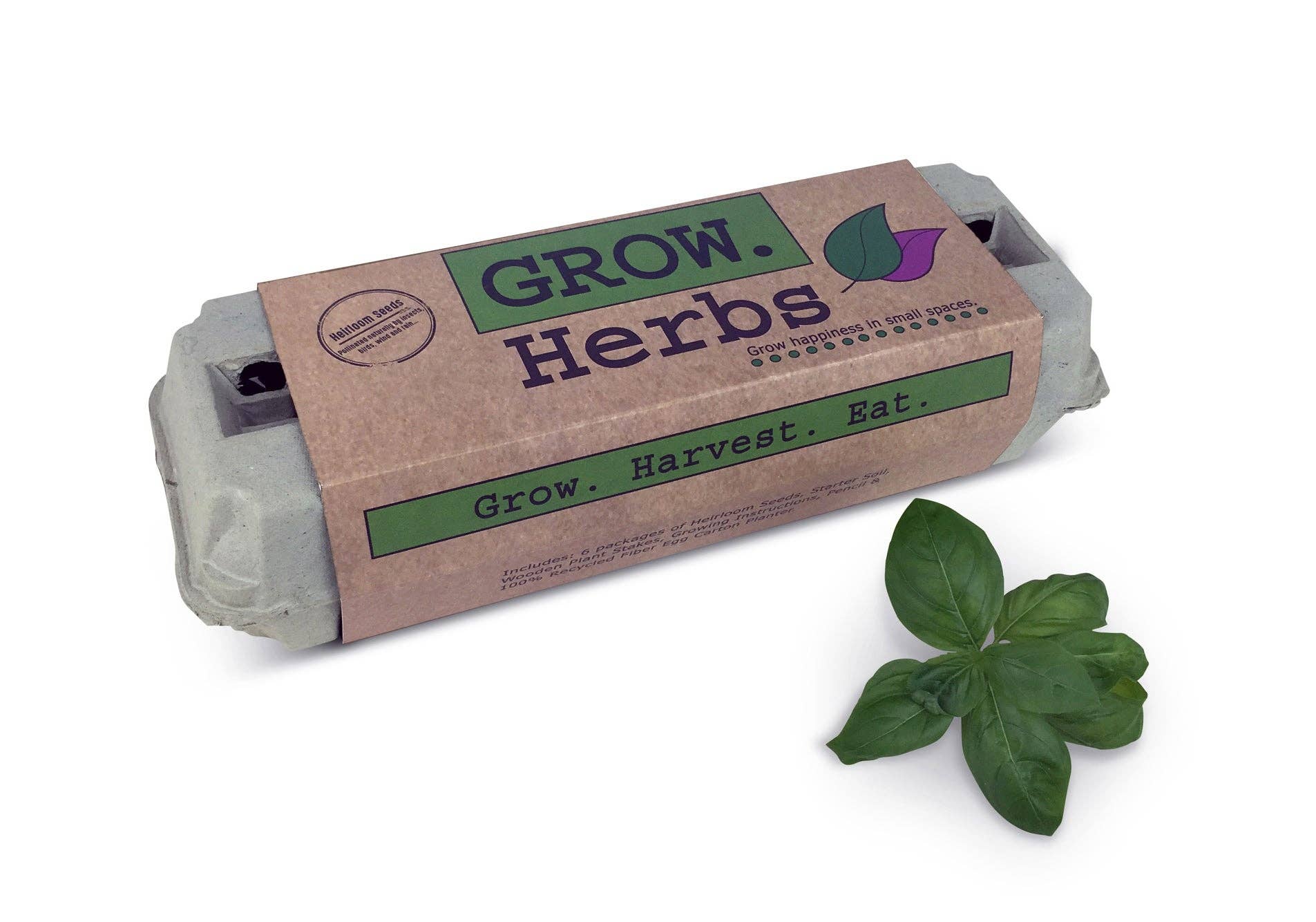 Backyard Safari Company – Herb Garden Grow Kit