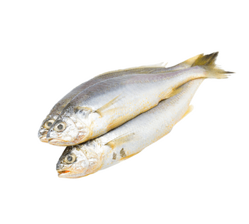 Whole Croaker | Pack of 4 – Fresh & Flavorful Seafood Delicacy