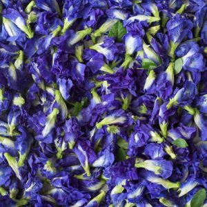 Butterfly Pea Flower
