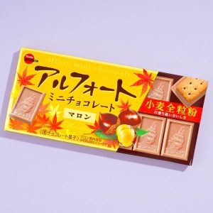 Bourbon Alfort Mini Chocolate Biscuits – Chestnut
