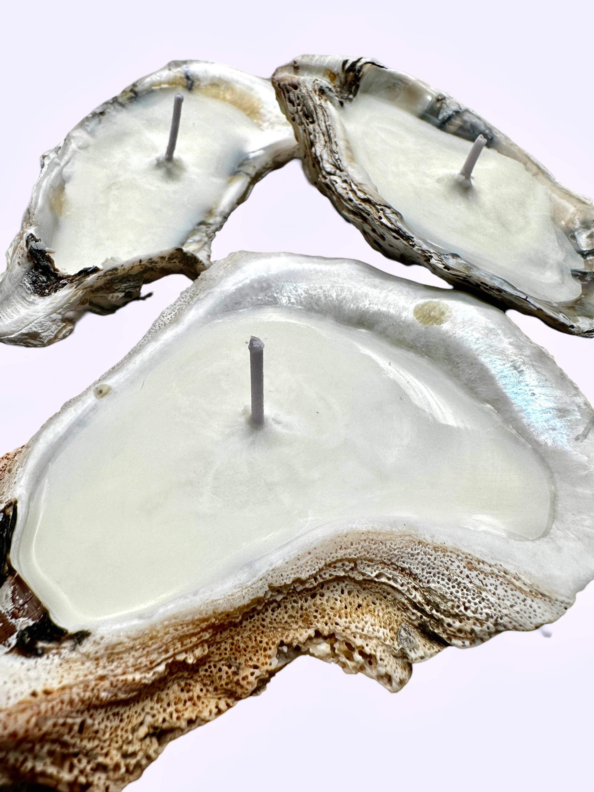 Martini Candle Co. – Oyster Shell Candle Handmade Beeswax Soy : Unscen