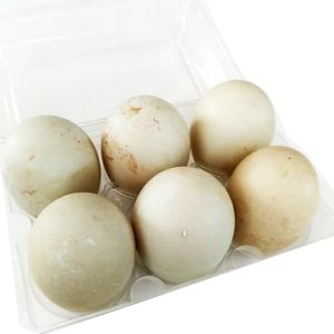 Balut – Incubated Duck Egg 14-21 Days (UNCOOKED) – 6 Eggs