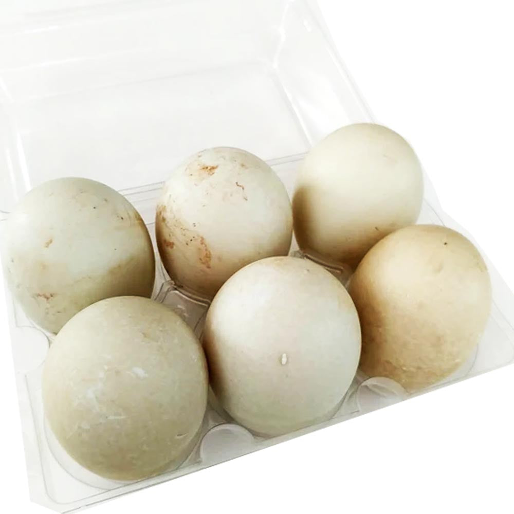 Balut – Incubated Duck Egg 14-21 Days (UNCOOKED) – 6 Eggs