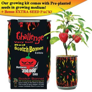 Challenge Red Scotch Bonnet Pepper Plant