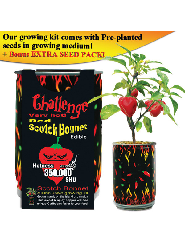Challenge Red Scotch Bonnet Pepper Plant