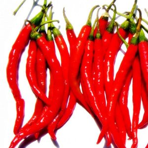 Bickford Chili Oil