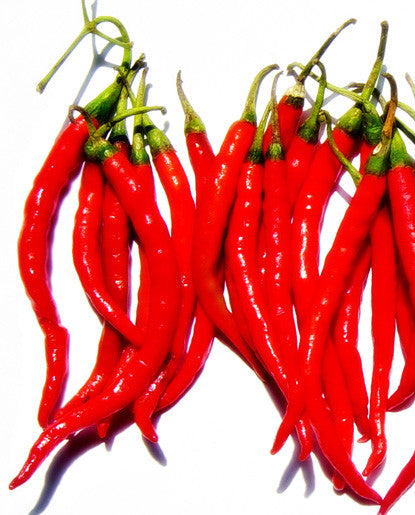 Bickford Chili Oil