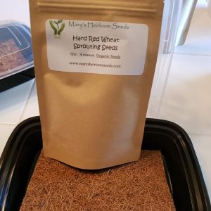 Catgrass Kit