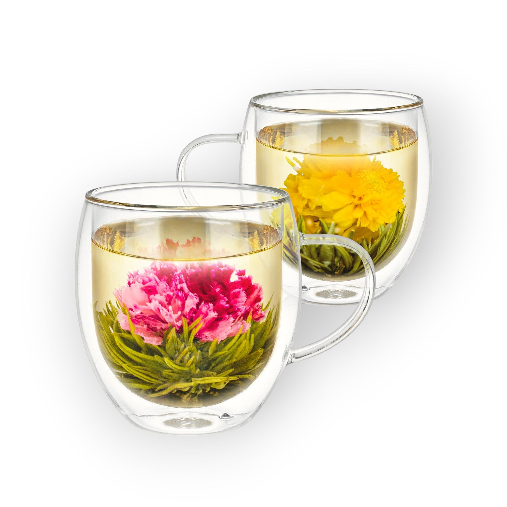 Teabloom – Teabloom Oversized Insulated Borosilicate Glass Mugs -17 oz