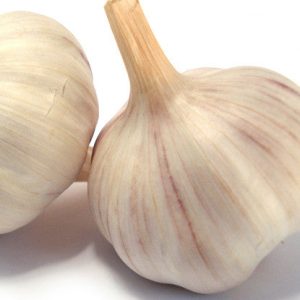 Bickford Garlic Oil